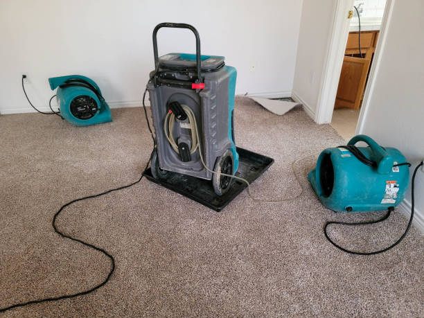 Best Local water damage restoration  in Frederick, OK