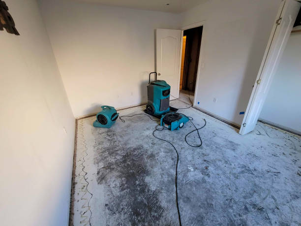 Best Mold removal after water damage  in Frederick, OK