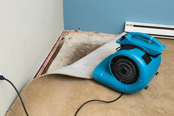 Best Basement water damage restoration  in Frederick, OK